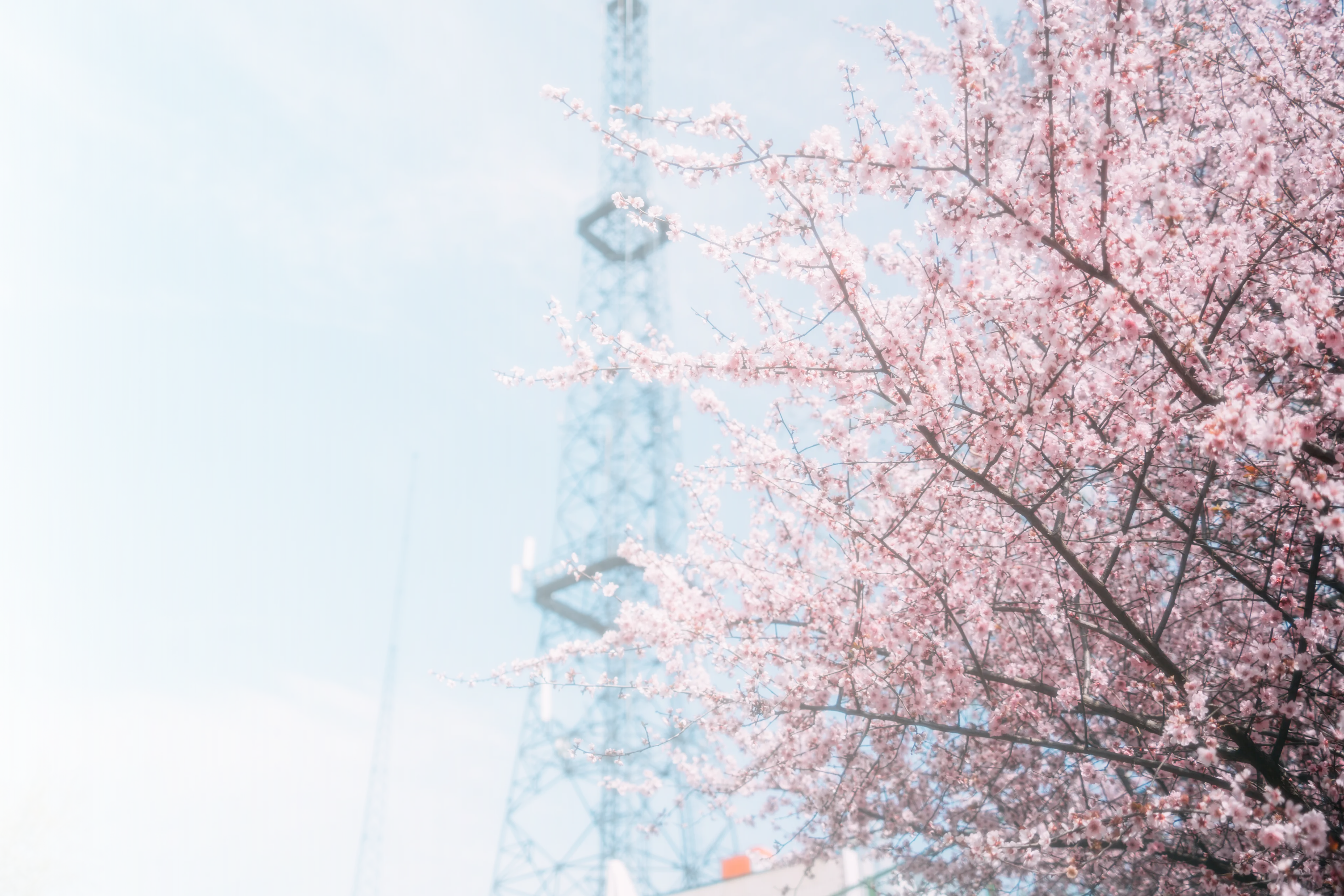 生涯